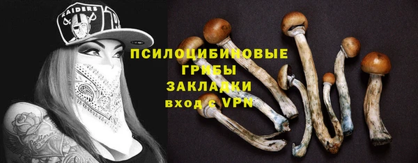 ешки Михайловка