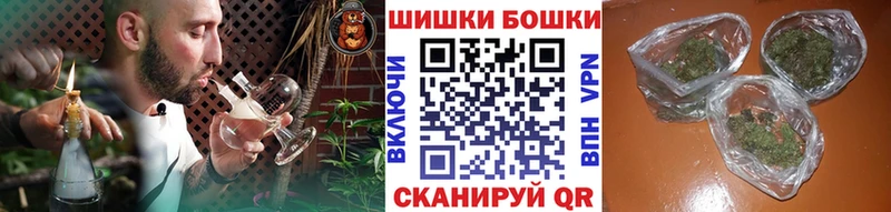 Бошки Шишки семена  Купить где  Оха 